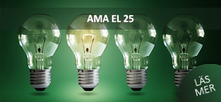 AMA EL 25