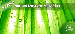 Grundlggande miljrtt